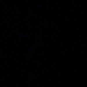 Meet your Posher, Sonam